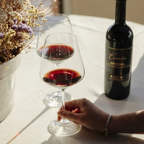 Poggio Il Castellare - Winery Project